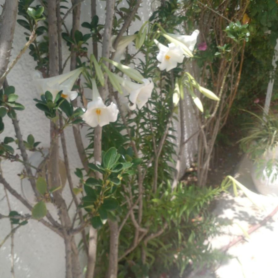 La Maison Bleue Apartment Dar Salah Bey ภายนอก รูปภาพ